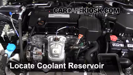 2015 Honda Accord EX-L 2.4L 4 Cyl. Coupe Coolant (Antifreeze) Add Coolant